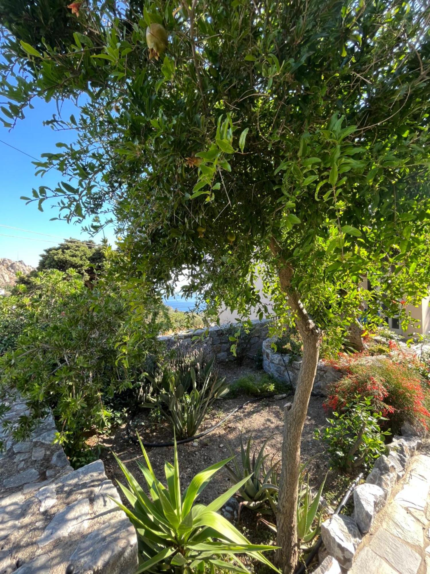 Petasos House - Garden - Sea View Villa Sellia  Luaran gambar