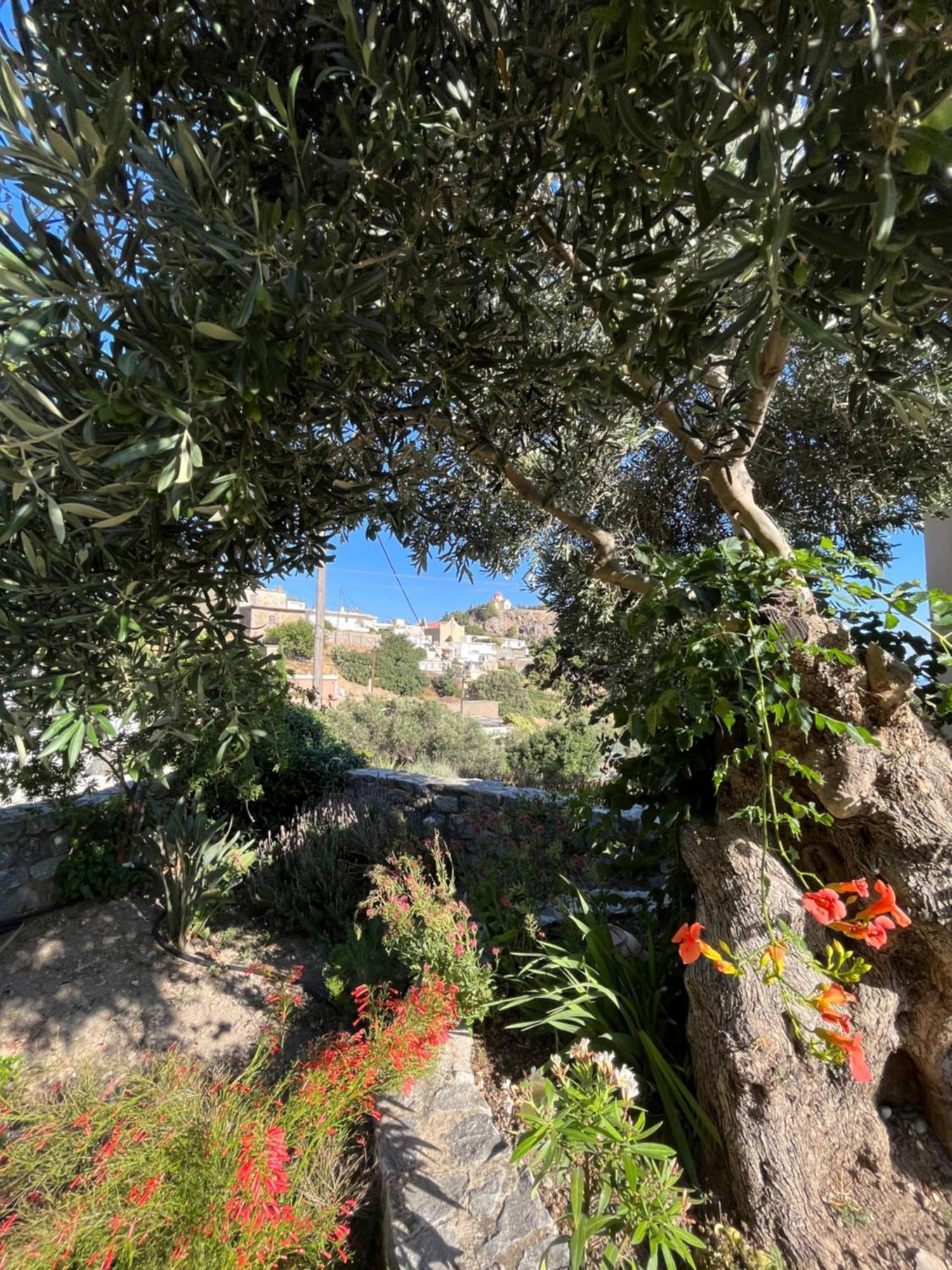 Petasos House - Garden - Sea View Villa Sellia  Luaran gambar