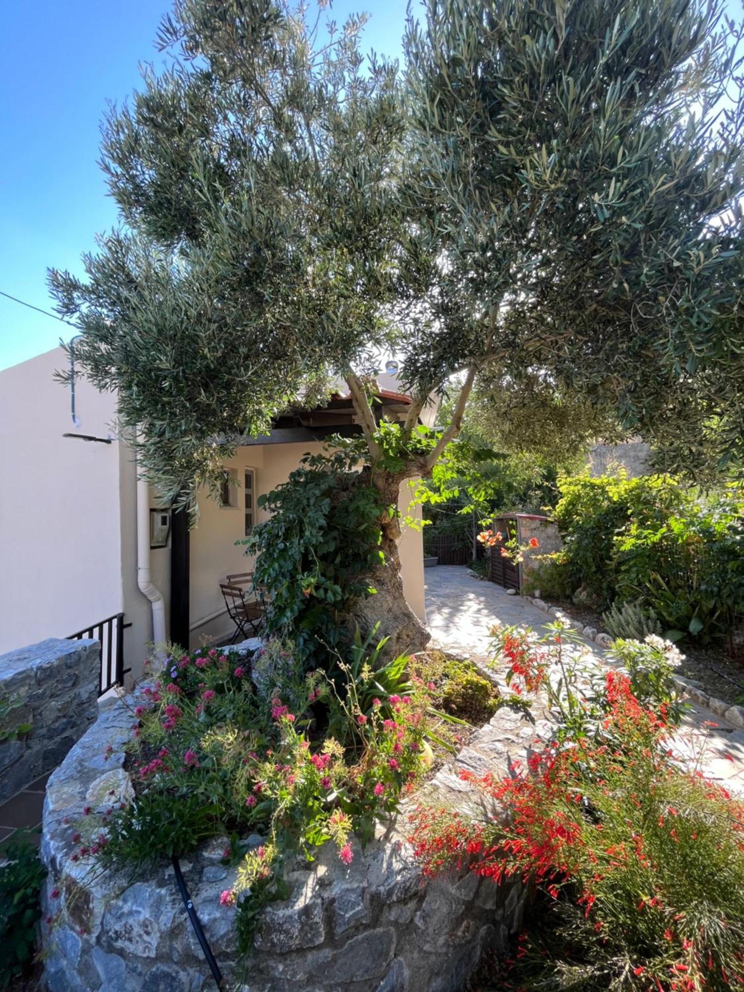 Petasos House - Garden - Sea View Villa Sellia  Luaran gambar